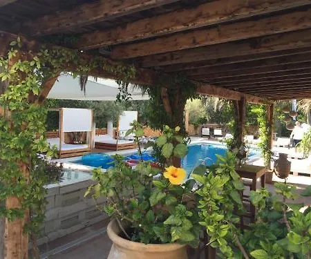 Acora Ibiza 公寓式酒店